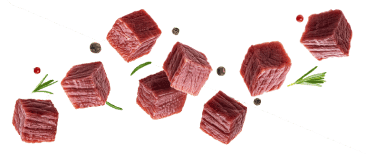 Bé Nâu Petshop